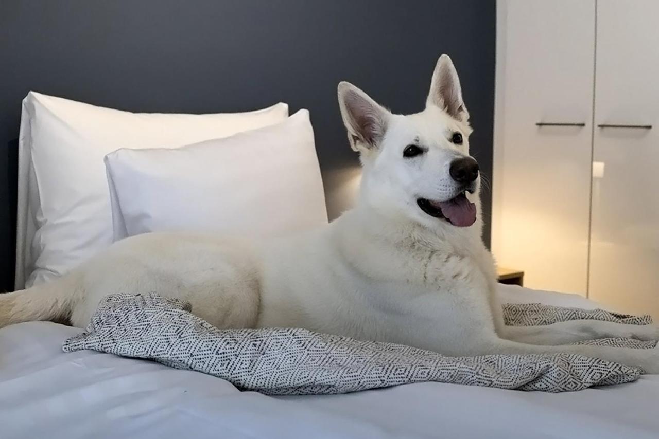Hotel Matts Esbo Eksteriør bilde
